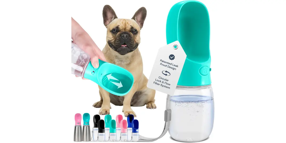 No-Spill Portable Water Bottle