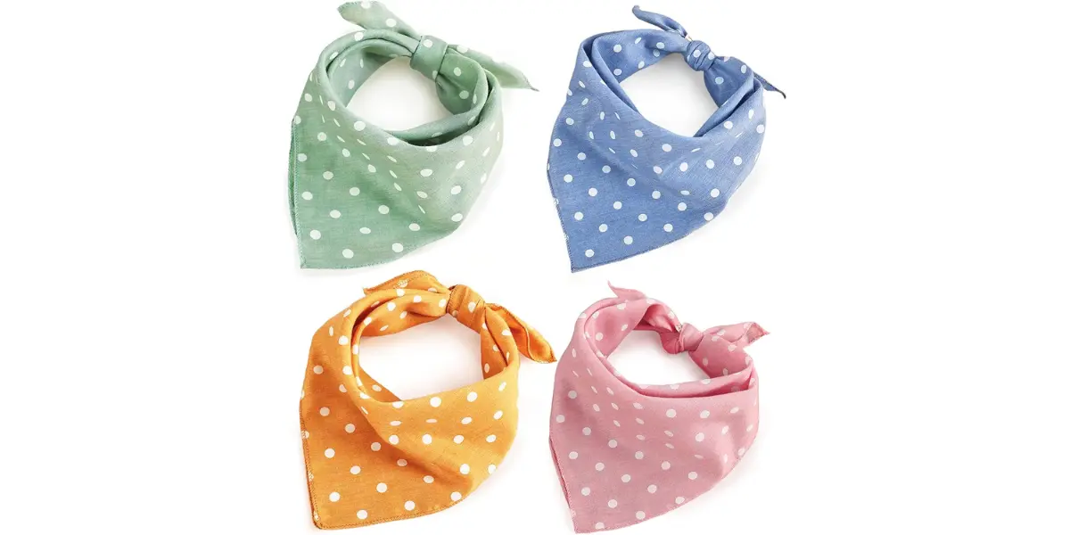 Pet-Friendly Event Bandana or Costume